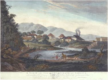Roaring River & Cave (Westmoreland)