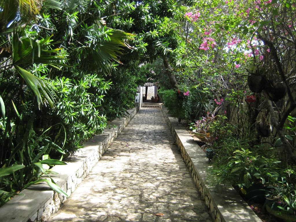 Rockhouse Hotel
